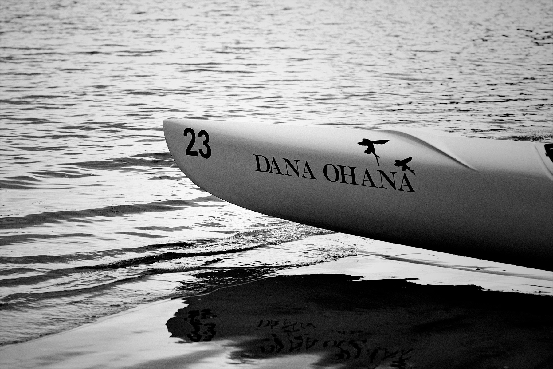 11x14-Dana-Ohana